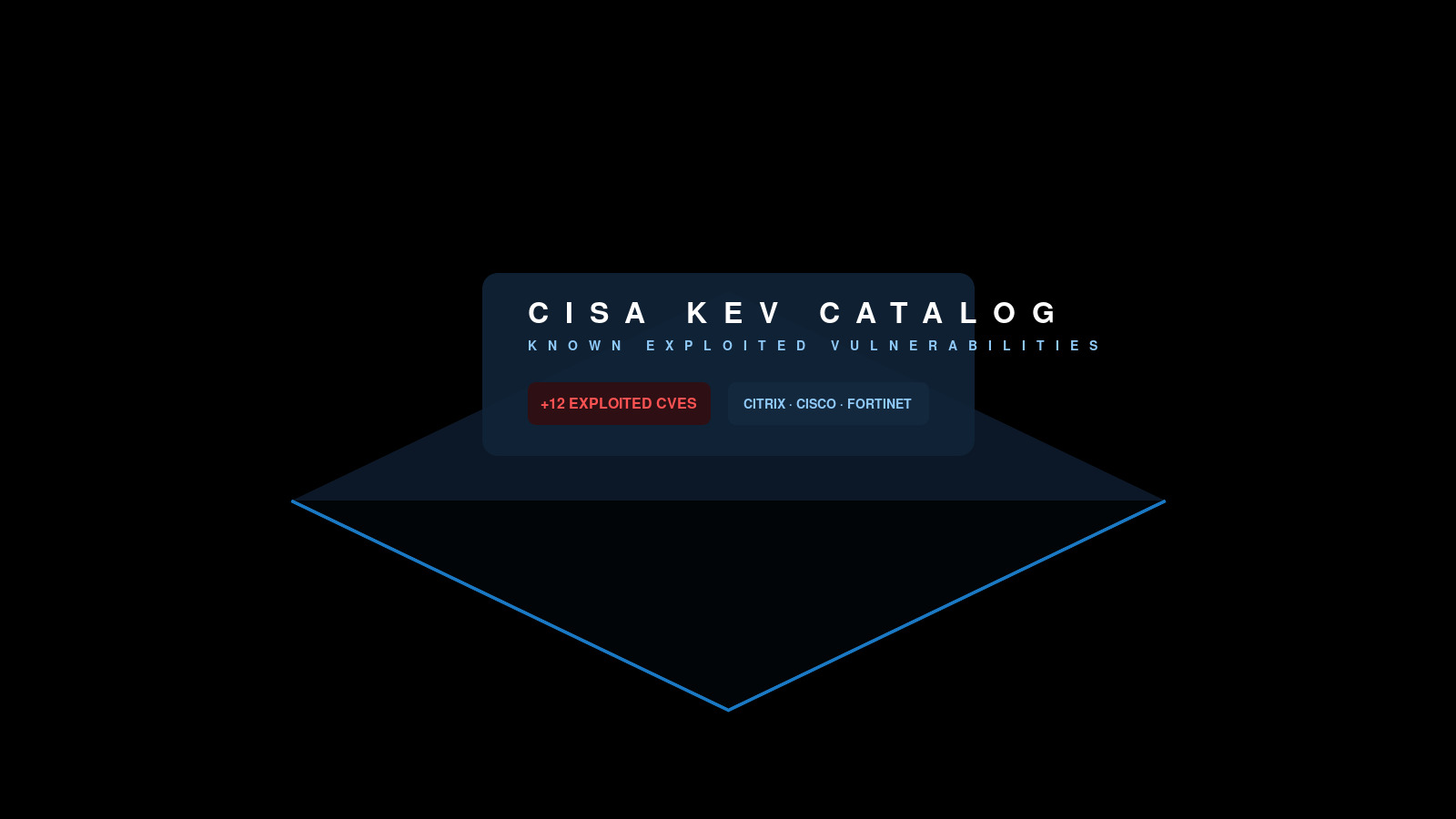 CISA Known Exploited Vulnerabilities catalog with 12 new exploited CVEs across Citrix, Cisco, Fortinet